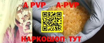 индика Гусев