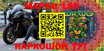 индика Гусев