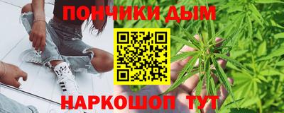 индика Гусев