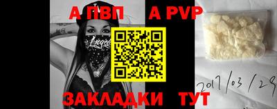 индика Гусев