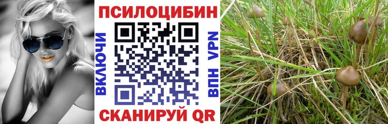 blacksprut ССЫЛКА  Нижнекамск  Галлюциногенные грибы мухоморы 