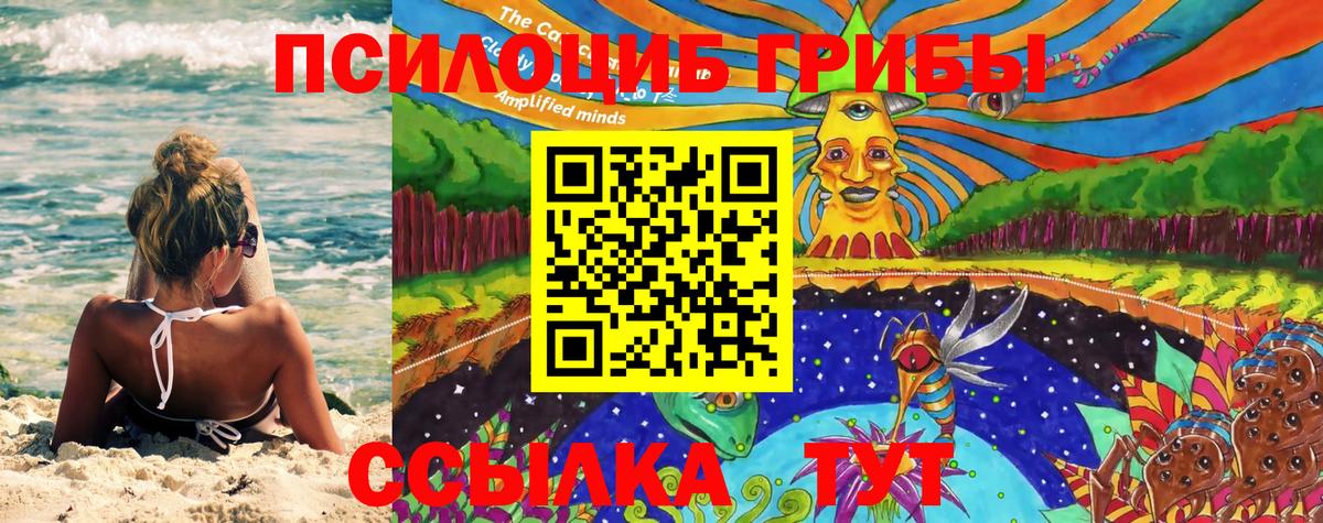 Галлюциногенные грибы Magic Shrooms  Вход с VPN  Псилоцибиновые грибы Psilocybe  что такое   Нижнекамск 