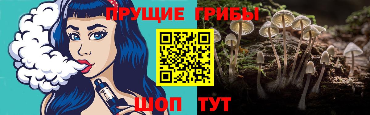 Псилоцибиновые грибы Magic Shrooms Нижнекамск